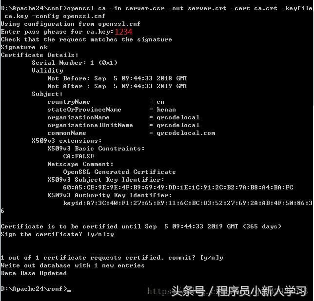 phpstudy环境如何免费搭建SSL证书?本地https配置教程详解