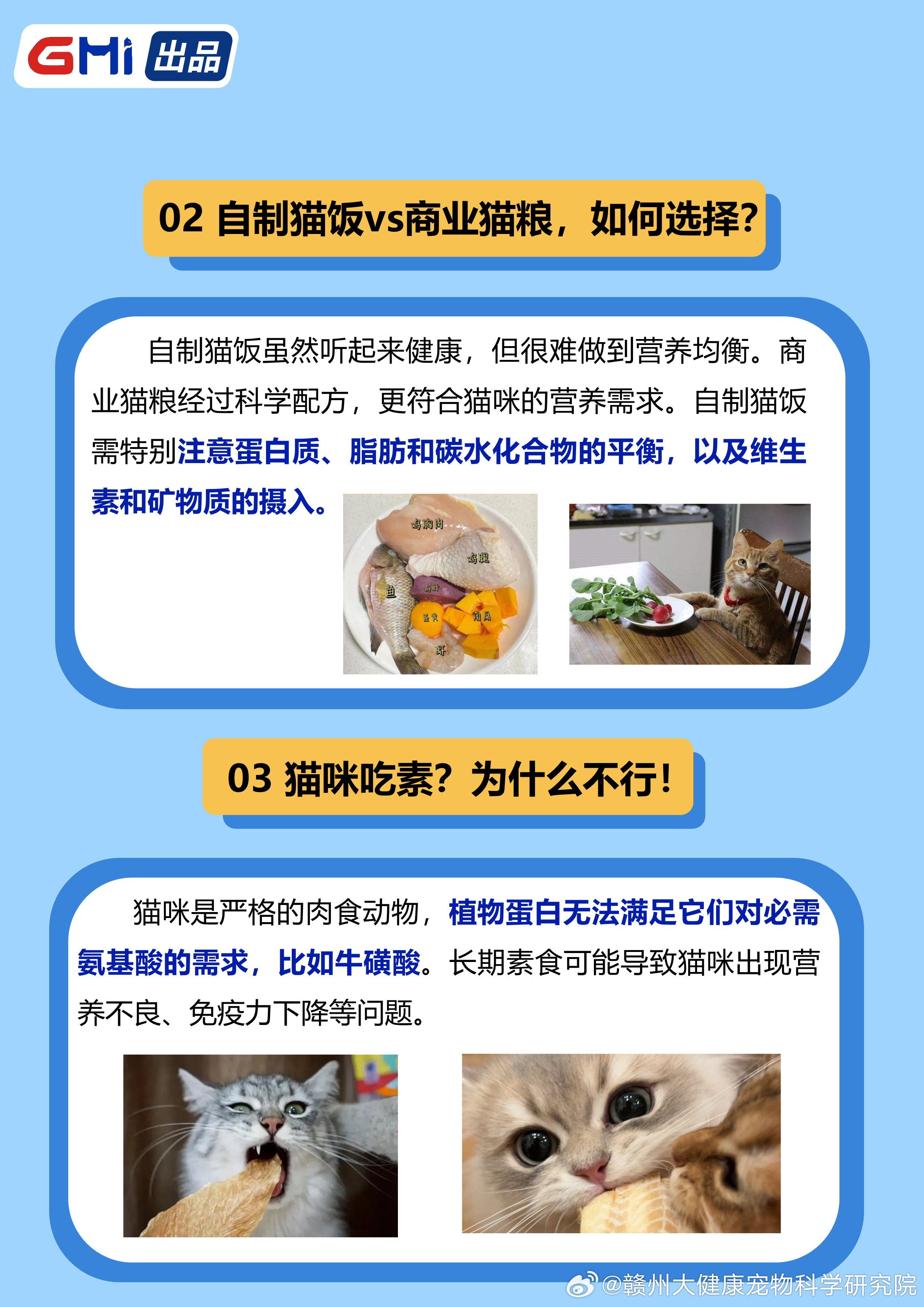 虚拟主机购买与猫咪零食,两者之间有何神秘联系? 第2张 虚拟主机购买与猫咪零食,两者之间有何神秘联系? 第2张
