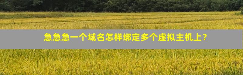虚拟主机怎么绑定域名,虚拟主机绑定域名需要什么条件 第3张 虚拟主机怎么绑定域名,虚拟主机绑定域名需要什么条件 第3张