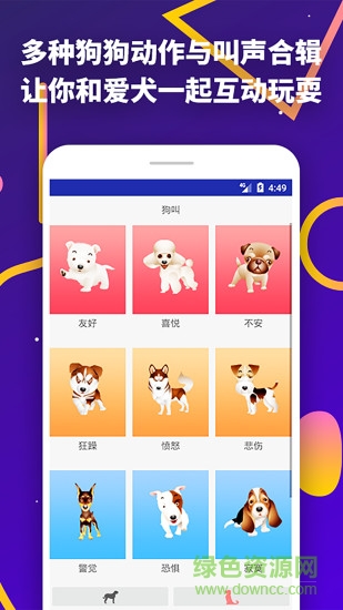 狗狗字体识别软件怎么用？如何识别狗狗字体 第2张
