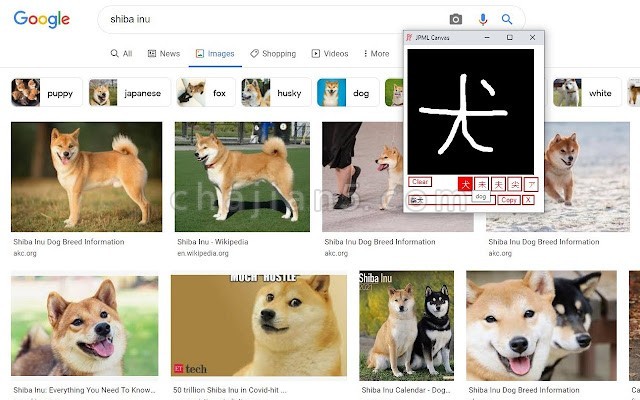 狗狗字体识别软件怎么用？如何识别狗狗字体 第3张