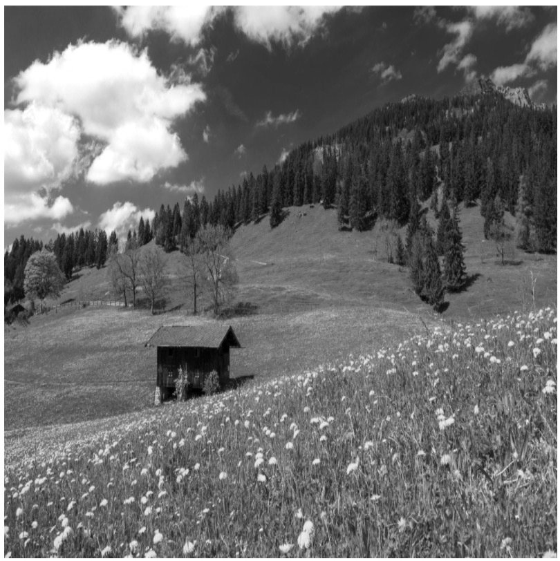 Grayscale.js使用教程,如何高效实现图片灰度转换? 第3张 Grayscale.js使用教程,如何高效实现图片灰度转换? 第3张