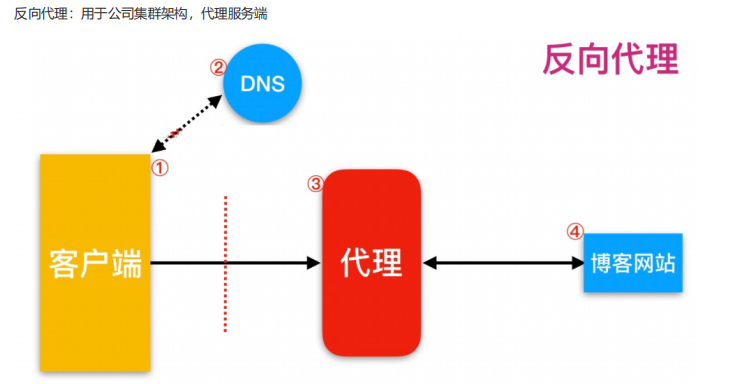 反向代理与单点登录,二者结合的原理和应用有何独特之处? 第3张 反向代理与单点登录,二者结合的原理和应用有何独特之处? 第3张