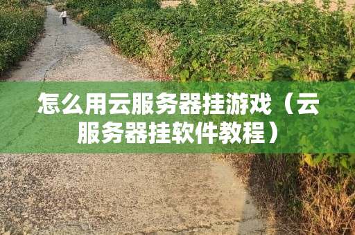 云服务器挂软件 第3张 云服务器挂软件 第3张