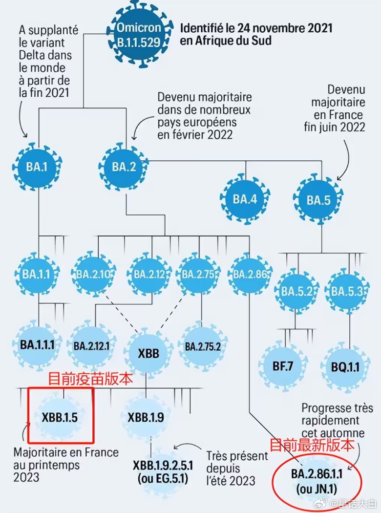 病度究竟归类于哪一类域名?深入探讨其类型之谜。