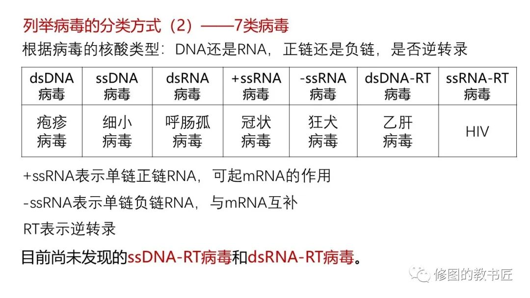 病度究竟归类于哪一类域名?深入探讨其类型之谜。