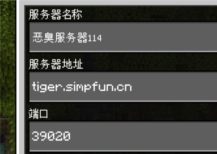 mc1.16beta版手机端有什么服务器,我的世界beta版生存服务器推荐? 第1张 mc1.16beta版手机端有什么服务器,我的世界beta版生存服务器推荐? 第1张