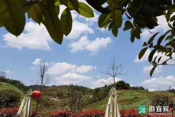 高县云锋湖原生态家庭农场好玩吗,地址在哪里 第1张 高县云锋湖原生态家庭农场好玩吗,地址在哪里 第1张
