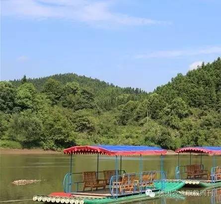 高县云锋湖原生态家庭农场好玩吗,地址在哪里 第2张 高县云锋湖原生态家庭农场好玩吗,地址在哪里 第2张