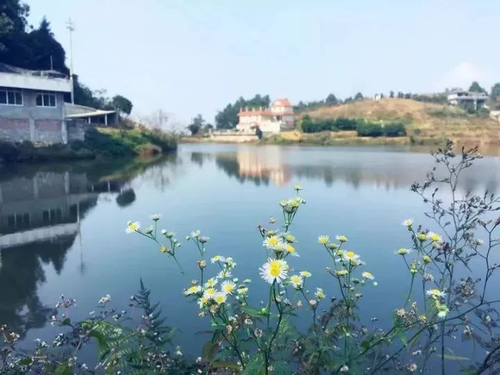 高县云锋湖原生态家庭农场好玩吗,地址在哪里 第3张 高县云锋湖原生态家庭农场好玩吗,地址在哪里 第3张