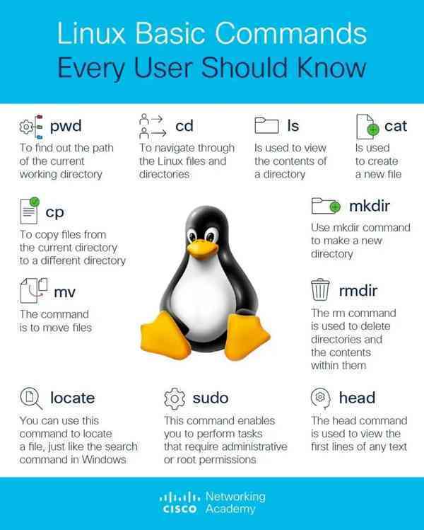 怎样快速掌握Linux命令 第3张 怎样快速掌握Linux命令 第3张