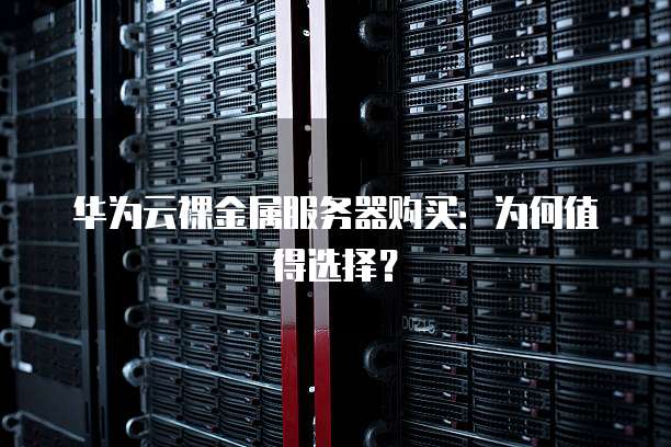 公有云裸金属服务器,如何平衡性能与成本,选择最佳方案? 第1张 公有云裸金属服务器,如何平衡性能与成本,选择最佳方案? 第1张