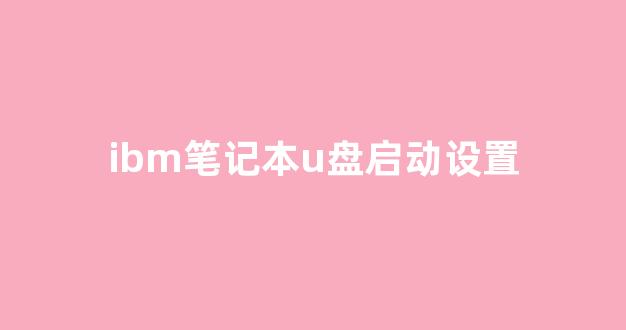 IBM服务器U盘引导操作步骤详解，为何如此复杂？ 第1张