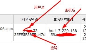 FileZilla如何轻松访问域名主机?步骤详解+技巧分享! 第1张 FileZilla如何轻松访问域名主机?步骤详解+技巧分享! 第1张
