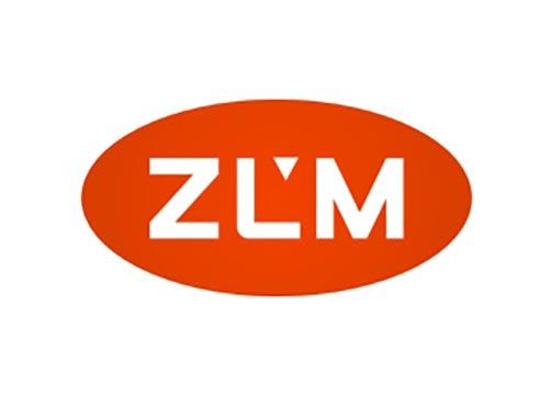zblm商标究竟有何独特之处,为何备受关注? 第3张 zblm商标究竟有何独特之处,为何备受关注? 第3张
