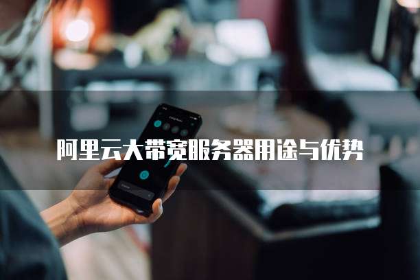 呼和浩特大带宽服务器哪家好?呼和浩特大带宽服务器哪家性价比高