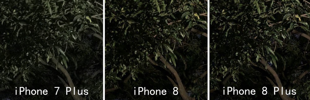 iPhone8p的配置参数与拍照效果怎么样?现在是否值得购买? 第2张 iPhone8p的配置参数与拍照效果怎么样?现在是否值得购买? 第2张
