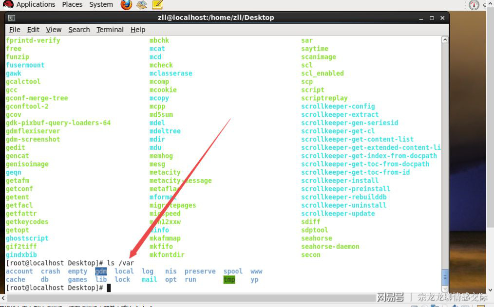 如何在Linux中进入tmp目录? 第2张 如何在Linux中进入tmp目录? 第2张