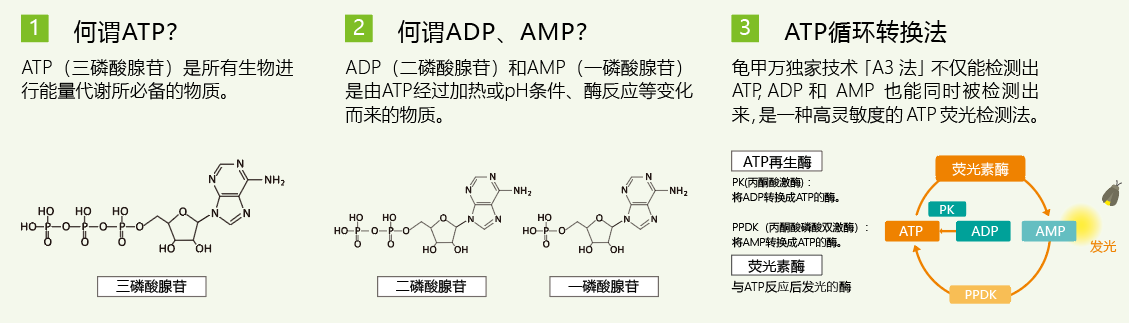 atp配置 第1张 atp配置 第1张
