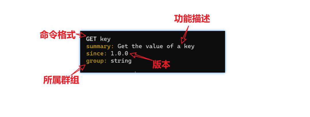 如何在R语言中使用help命令?