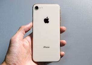 苹果8参数配置怎么样,iPhone8详细配置参数 第1张 苹果8参数配置怎么样,iPhone8详细配置参数 第1张