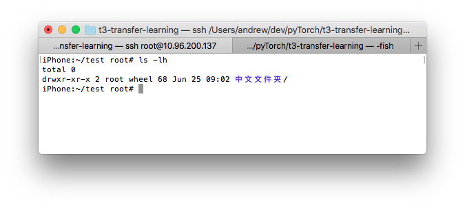 iOS如何输入终端命令?