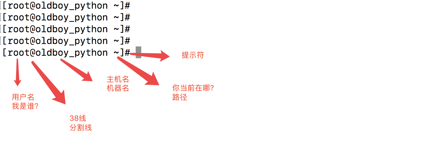 如何正确理解命令？