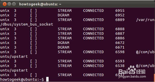 Linux命令行如何快速联网 第2张 Linux命令行如何快速联网 第2张