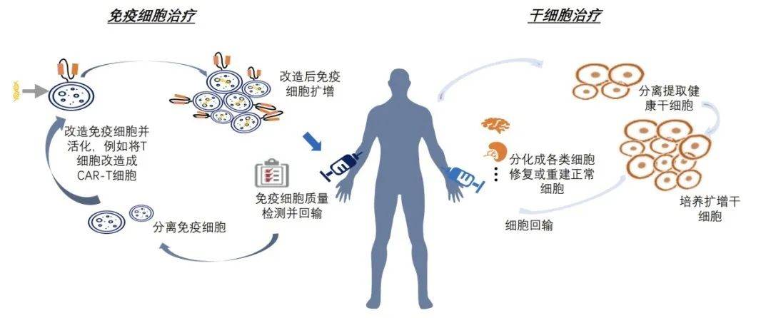什么是主动免疫的可信计算?主动免疫可信计算原理是什么 第1张 什么是主动免疫的可信计算?主动免疫可信计算原理是什么 第1张