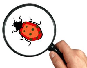 如何用Java实现放大镜效果能吸引更多用户点击