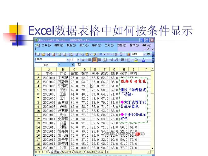 Excel表格排序时为什么出现很多同等级 第2张 Excel表格排序时为什么出现很多同等级 第2张