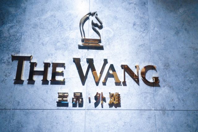 wang王牌域名为何如此抢手?揭秘其独特魅力背后的秘密! 第1张 wang王牌域名为何如此抢手?揭秘其独特魅力背后的秘密! 第1张