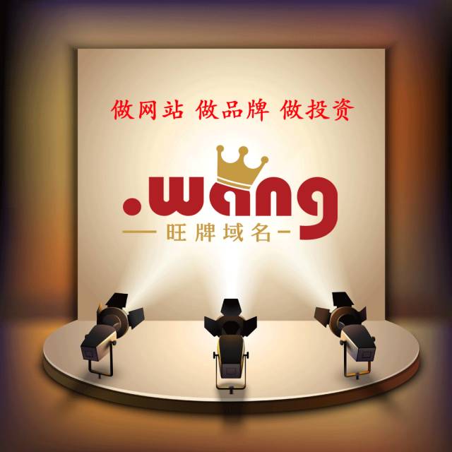 wang王牌域名为何如此抢手?揭秘其独特魅力背后的秘密! 第2张 wang王牌域名为何如此抢手?揭秘其独特魅力背后的秘密! 第2张