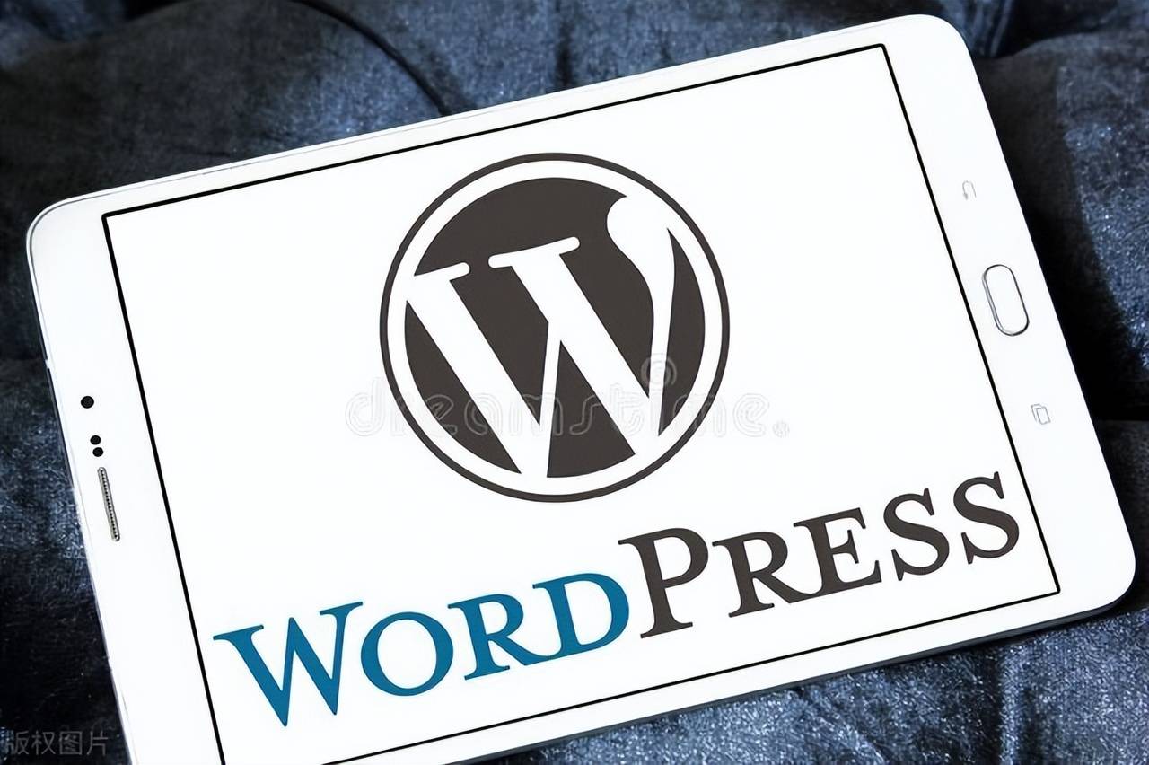 WordPress如何设置SEO关键词 第2张