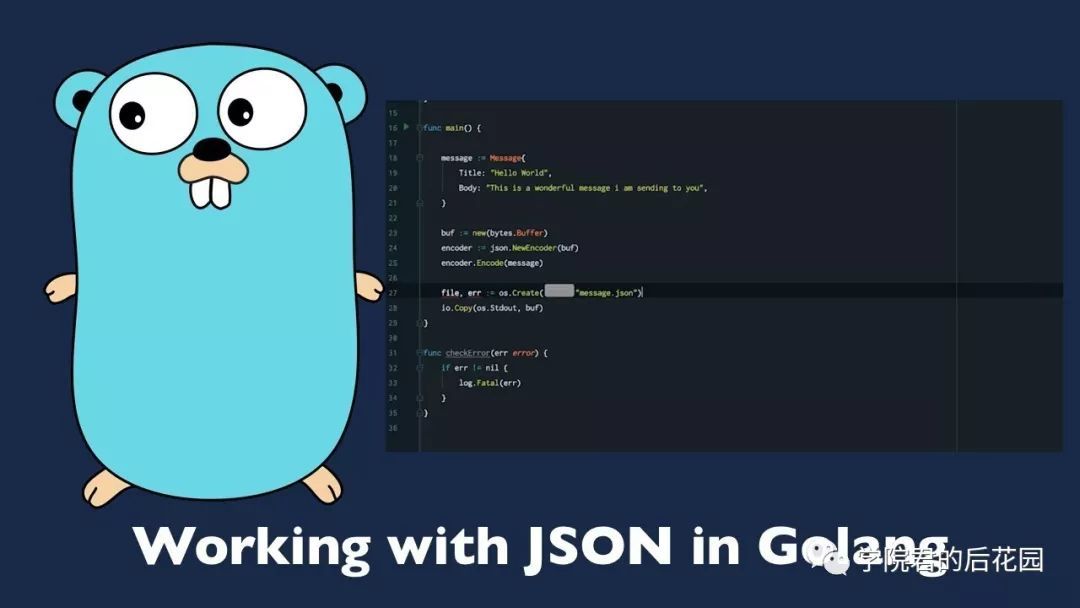 Go语言如何高效实现JSON编码解码,有哪些具体方法与技巧? 第3张 Go语言如何高效实现JSON编码解码,有哪些具体方法与技巧? 第3张