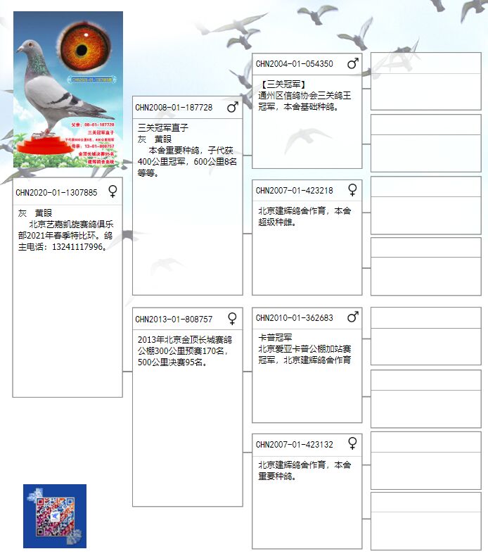 信鸽推送配置如何设置?,信鸽推送配置详细教程 第3张 信鸽推送配置如何设置?,信鸽推送配置详细教程 第3张
