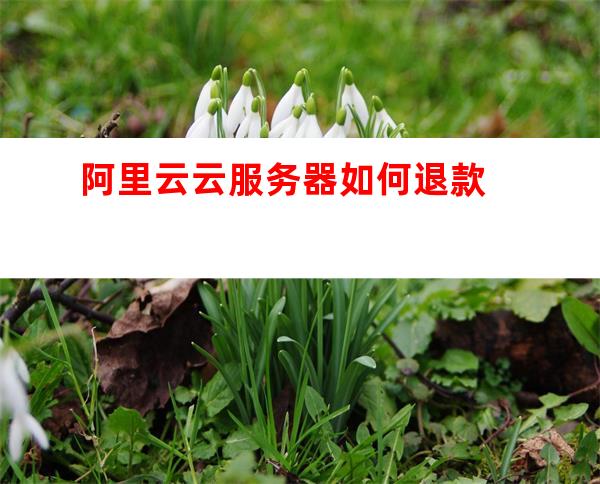 阿里云服务器退费流程详解,新手必看退费全攻略? 第3张 阿里云服务器退费流程详解,新手必看退费全攻略? 第3张