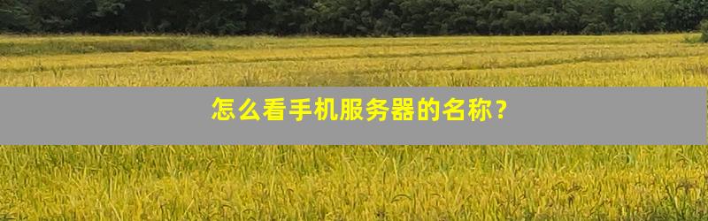 手机连WIFI是服务器主机名是什么,怎么查看 第1张 手机连WIFI是服务器主机名是什么,怎么查看 第1张