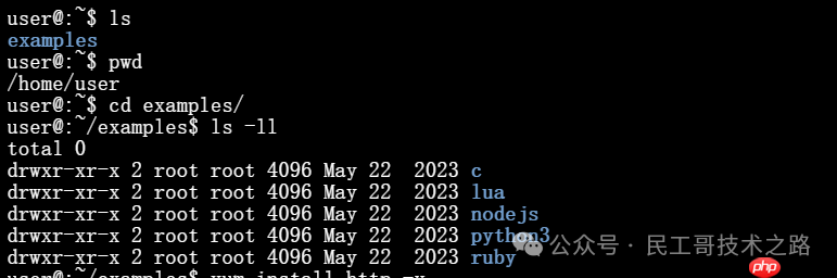 如何在Linux虚拟机上编程？