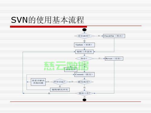 架设svn服务器需要哪些步骤和注意事项? 第2张 架设svn服务器需要哪些步骤和注意事项? 第2张