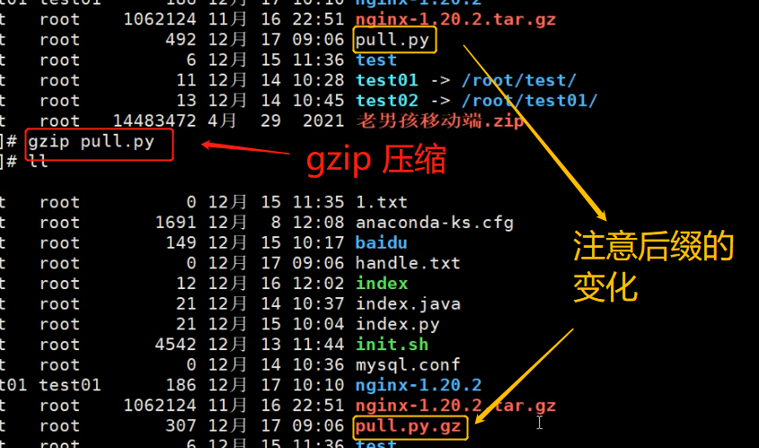 linux如何解压7z文件 第1张 linux如何解压7z文件 第1张