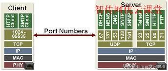 Linux 80端口被占怎么办? 第3张 Linux 80端口被占怎么办? 第3张