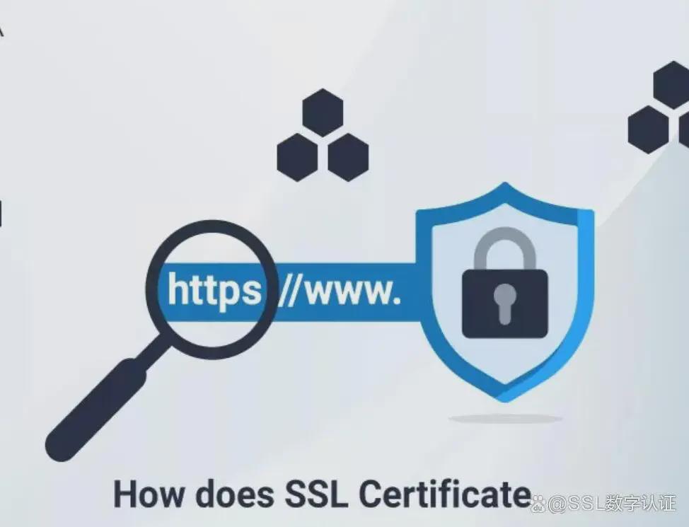 http和https的ssl证书有什么区别?ssl证书怎么申请