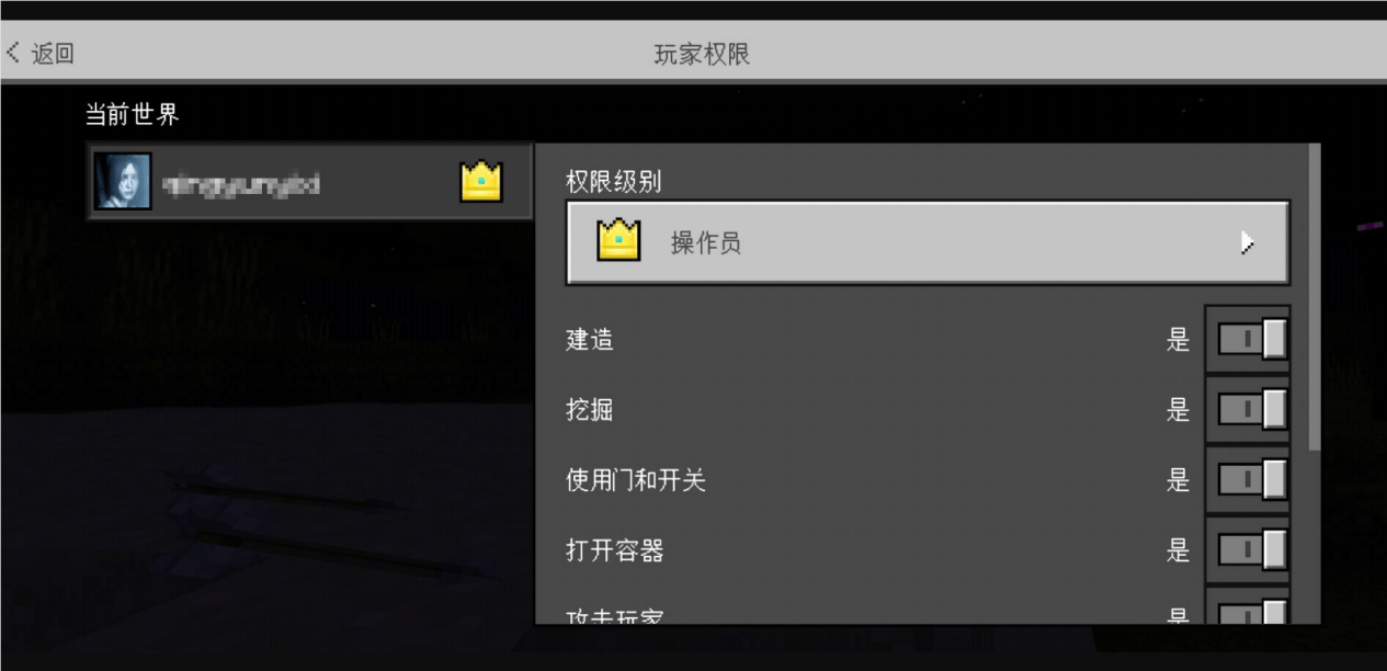 如何在我的世界中成功建立并管理个人服务器? 第3张 如何在我的世界中成功建立并管理个人服务器? 第3张