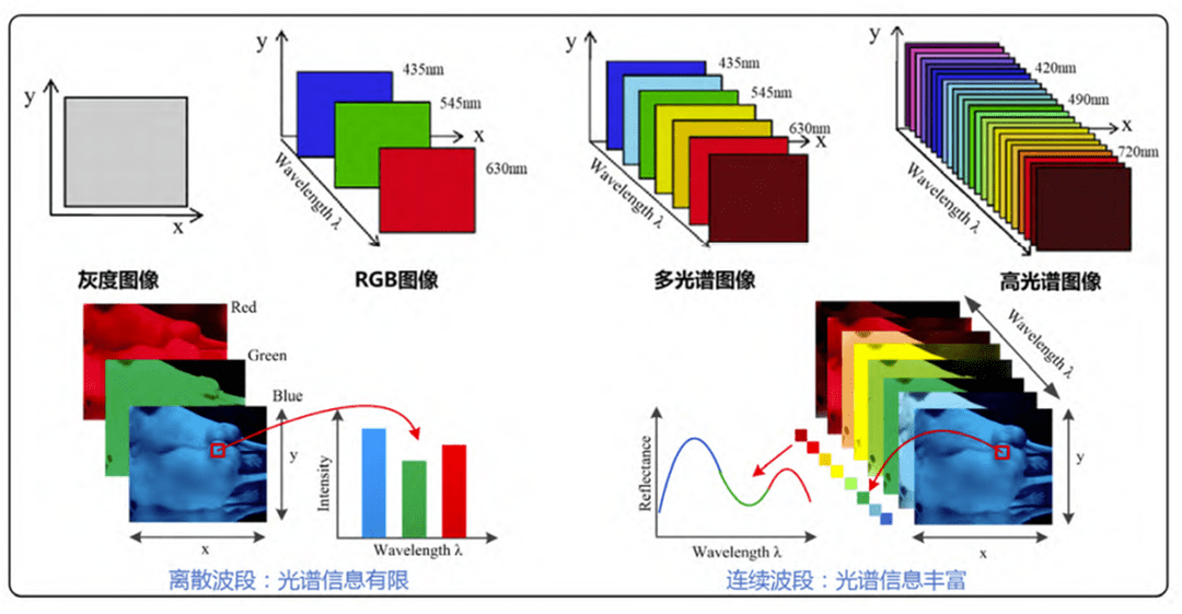 高光谱图像分析技术是什么?,有哪些应用? 第3张 高光谱图像分析技术是什么?,有哪些应用? 第3张