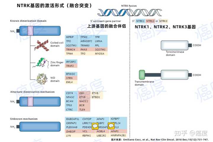 基因组配置的具体步骤是什么,基因组配置的常见错误有哪些? 第3张 基因组配置的具体步骤是什么,基因组配置的常见错误有哪些? 第3张