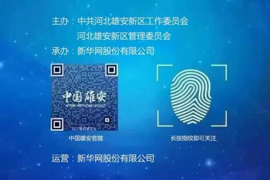 雄安域名被注册了怎么办?雄安域名注册 第1张 雄安域名被注册了怎么办?雄安域名注册 第1张
