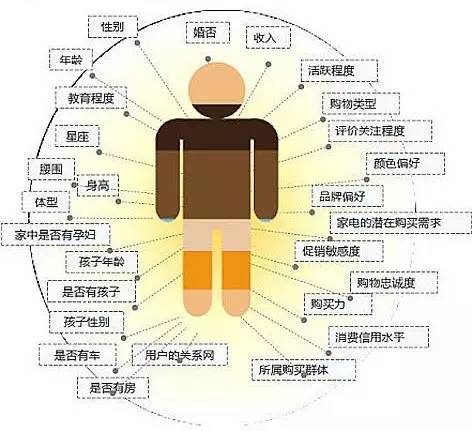 用户画像在哪里看?如何查看用户画像 第3张 用户画像在哪里看?如何查看用户画像 第3张