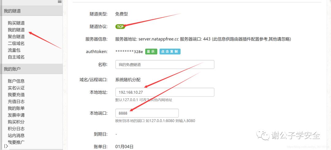 域名内墙穿透怎么实现?内网穿透域名怎么设置 第3张 域名内墙穿透怎么实现?内网穿透域名怎么设置 第3张