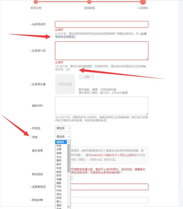 头条号域名怎么设置,在哪里修改头条号域名 第3张 头条号域名怎么设置,在哪里修改头条号域名 第3张
